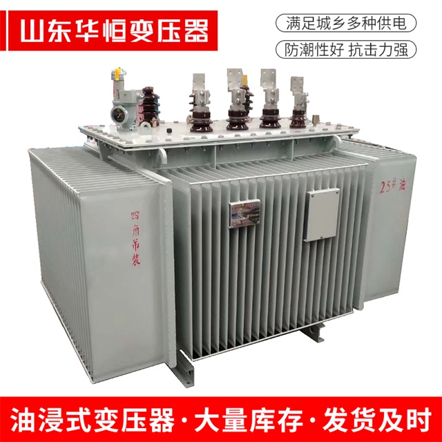 S13-10000/35乐都乐都乐都电力变压器厂家