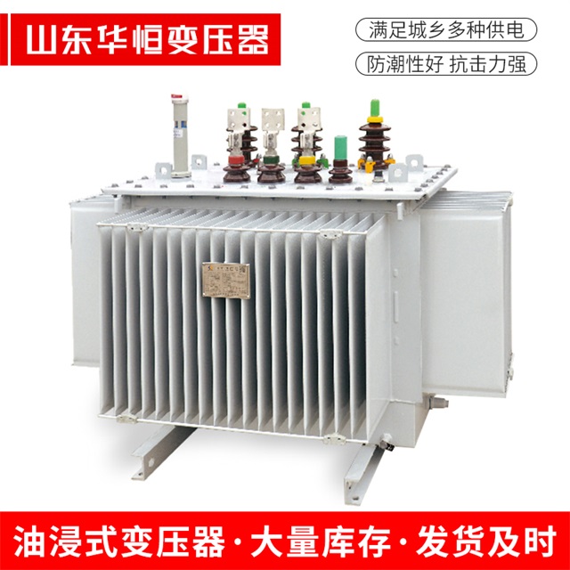 S13-10000/35乐都乐都乐都电力变压器
